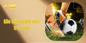 keo dong banh nua trai la gi