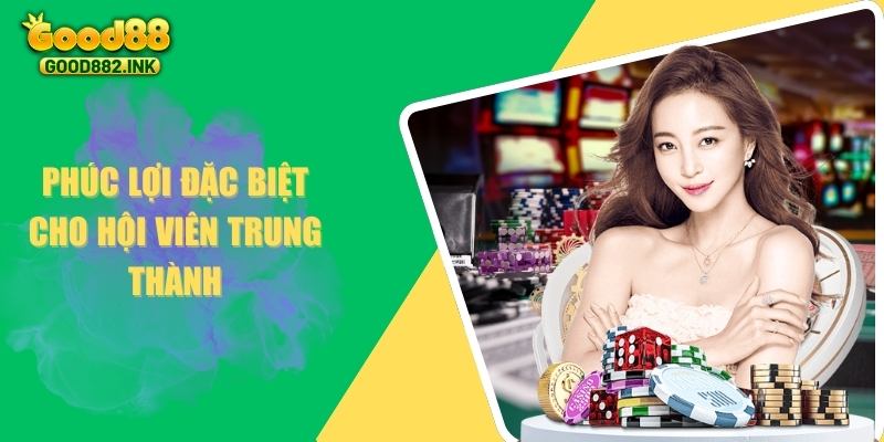 Nhà Cái VIVU88 - Sự Lựa Chọn Hoàn Hảo Dành Cho Bạ 3 Phúc lợi đặc biệt cho hội viên trung thành